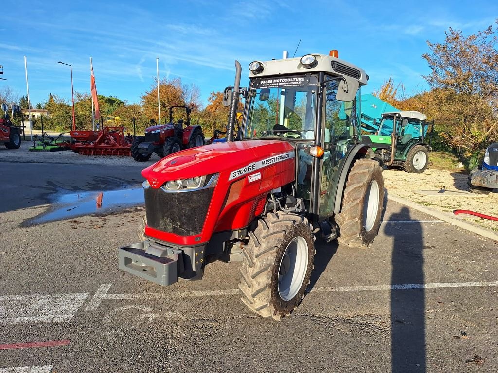 Schmalspurtraktor des Typs Massey Ferguson 3709GE EFF, Gebrauchtmaschine in NOVES (Bild 2)