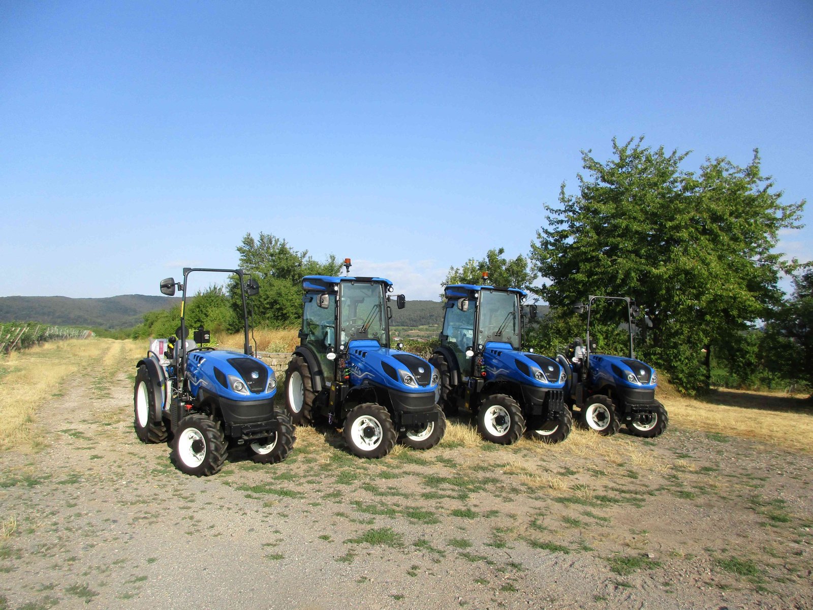 Schmalspurtraktor des Typs New Holland Neue Generation, Neumaschine in Niederkirchen (Bild 2)