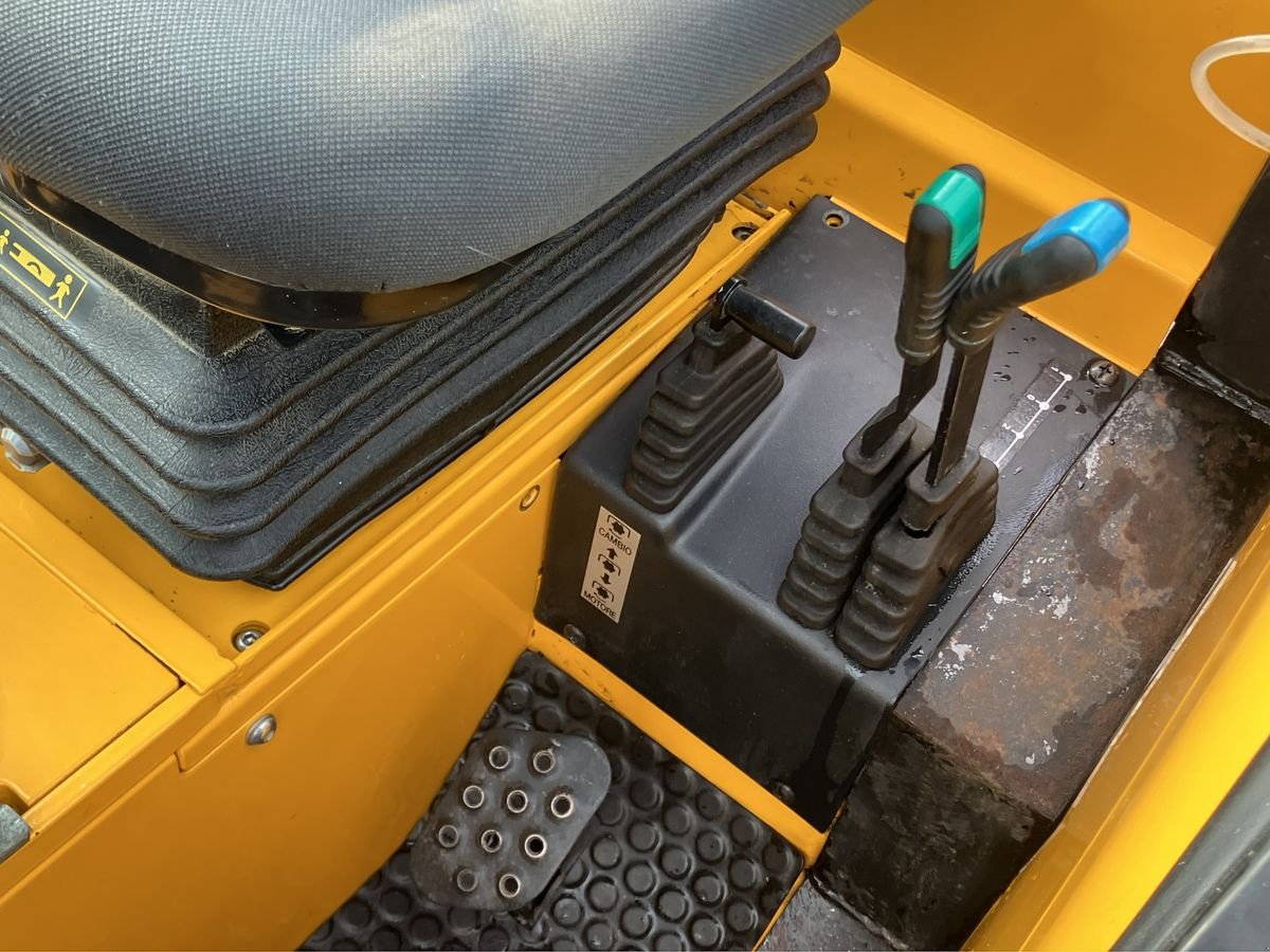 Schmalspurtraktor des Typs Pasquali Eos V 6.65 MT, Gebrauchtmaschine in Villach (Bild 11)