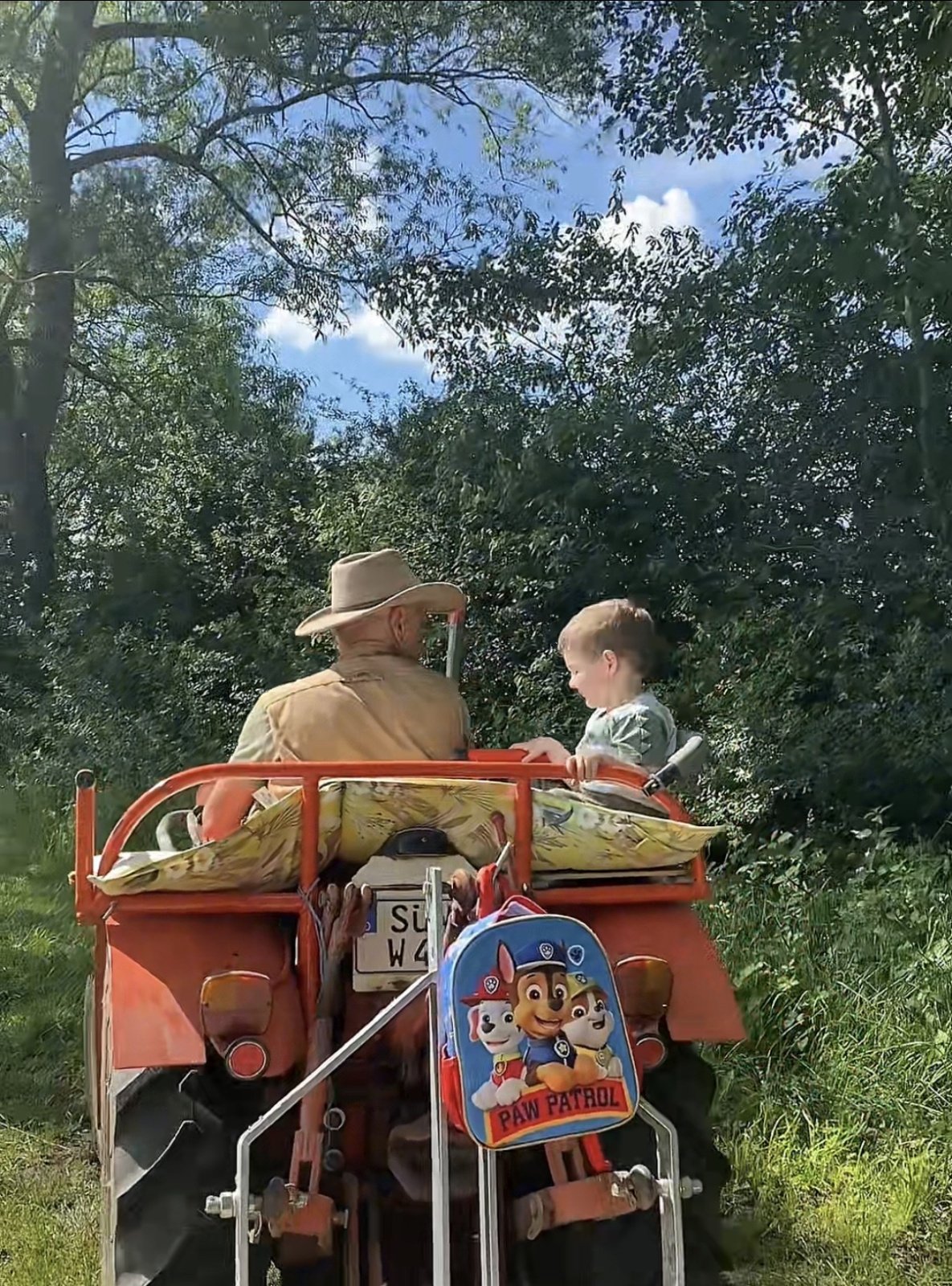 Schmalspurtraktor типа Renault R50, Gebrauchtmaschine в Herxheim bei Landau (Pfalz) (Фотография 1)