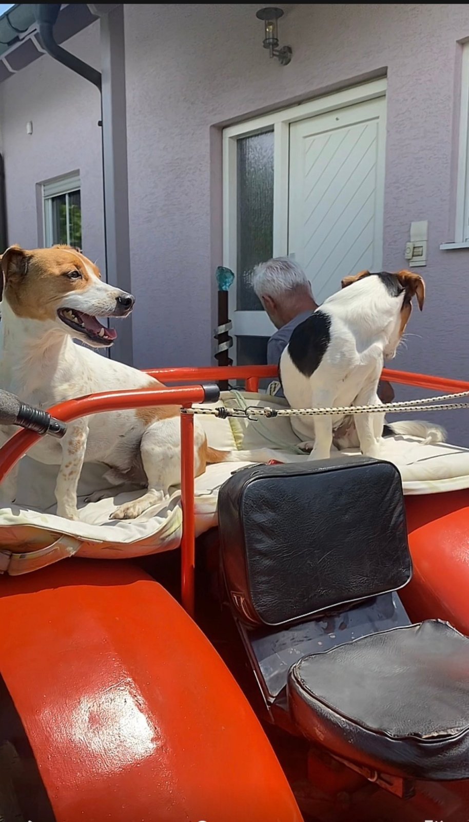 Schmalspurtraktor типа Renault R50, Gebrauchtmaschine в Herxheim bei Landau (Pfalz) (Фотография 2)