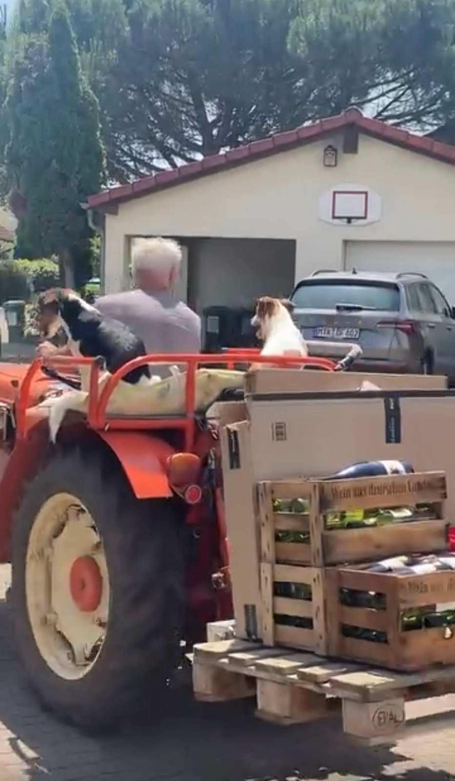 Schmalspurtraktor типа Renault R50, Gebrauchtmaschine в Herxheim bei Landau (Pfalz) (Фотография 3)