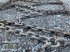 Schneekette des Typs Pewag 300/70-20, Gebrauchtmaschine in Gampern (Bild 11)