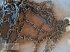 Schneekette del tipo Pewag K.360/70R20 Doppelspur D1367V, Gebrauchtmaschine en Purgstall (Imagen 4)