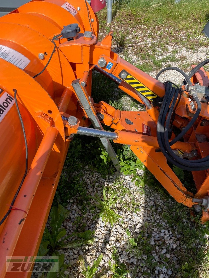 Schneepflug des Typs Assaloni Tecna 25, Gebrauchtmaschine in Merklingen (Bild 9)