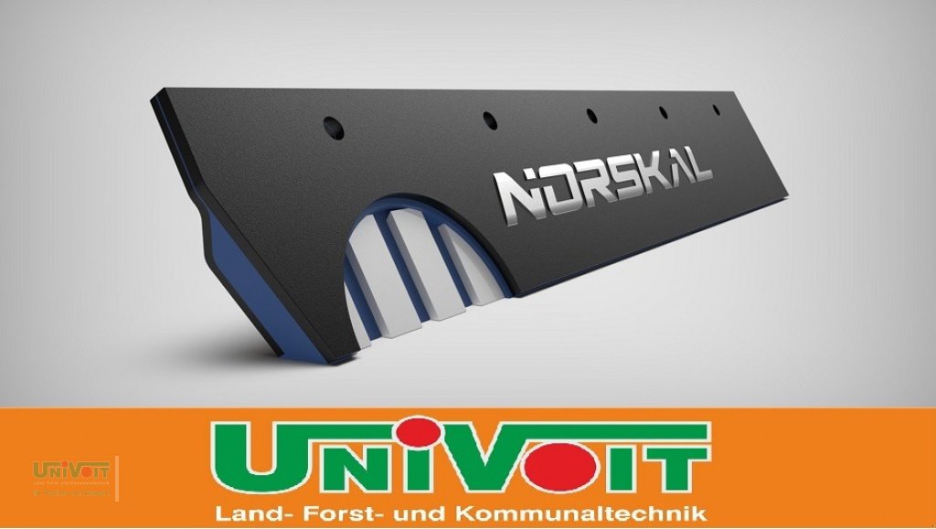 Schneepflug des Typs Rasco Kombischienen / Gleitschuh Wochensonderangebot, Neumaschine in Warmensteinach (Bild 2)