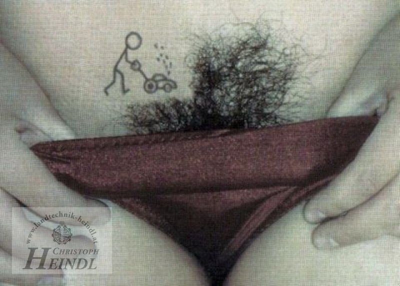 Schneeräumschild typu Tielbürger Schneepflug TS 125, Neumaschine v Stephanshart (Obrázok 10)