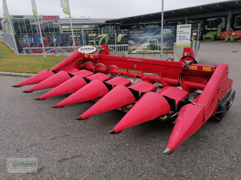 Schneidwerk del tipo Capello Quasar R6 - gebrauchter Maispflücker (6 Reihig), Gebrauchtmaschine In Kematen (Immagine 1)