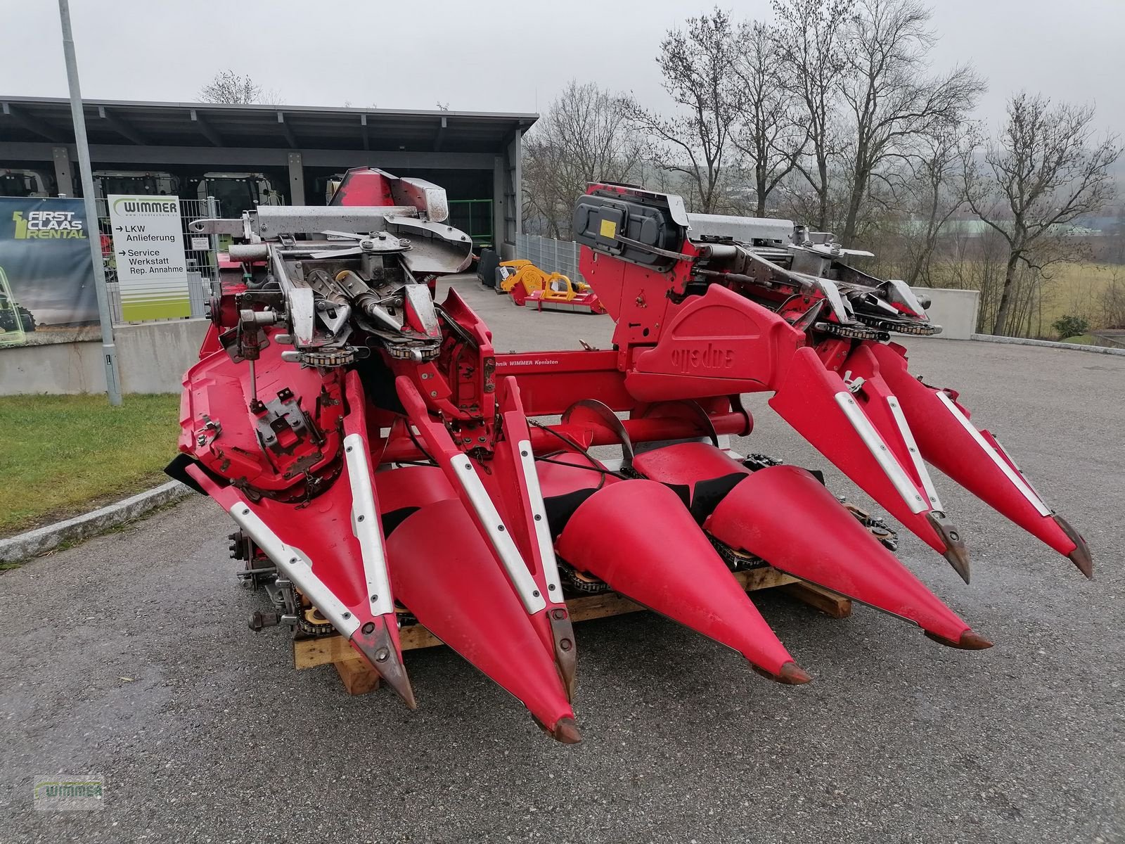Schneidwerk типа Capello Quasar R6 - gebrauchter Maispflücker (6 Reihig), Gebrauchtmaschine в Kematen (Фотография 10)