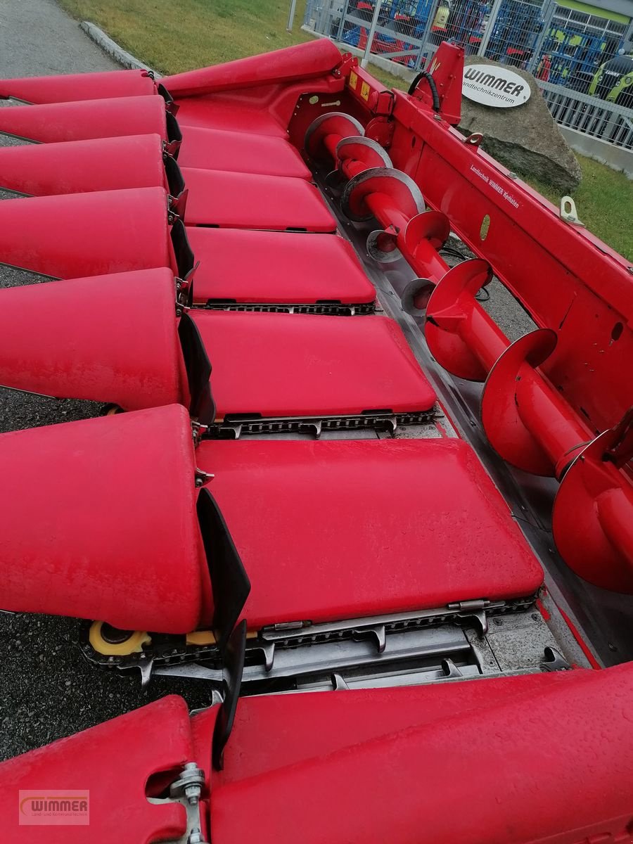 Schneidwerk типа Capello Quasar R6 - gebrauchter Maispflücker (6 Reihig), Gebrauchtmaschine в Kematen (Фотография 18)