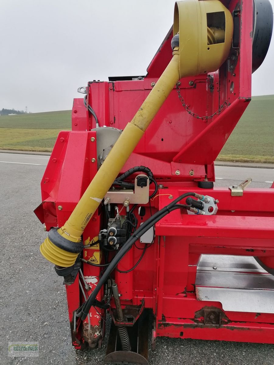 Schneidwerk типа Capello Quasar R6 - gebrauchter Maispflücker (6 Reihig), Gebrauchtmaschine в Kematen (Фотография 17)