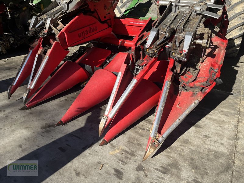 Schneidwerk typu Capello Quasar R6 - gebrauchter Maispflücker, Gebrauchtmaschine w Kematen (Zdjęcie 1)