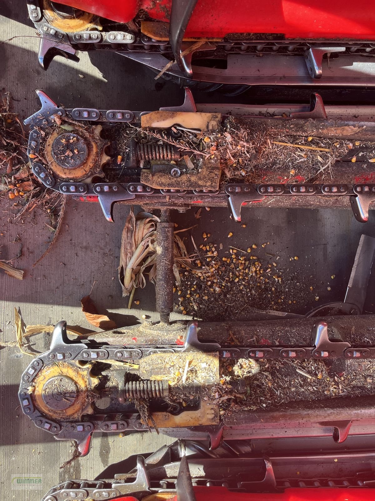 Schneidwerk des Typs Capello Quasar R6 - gebrauchter Maispflücker, Gebrauchtmaschine in Kematen (Bild 7)