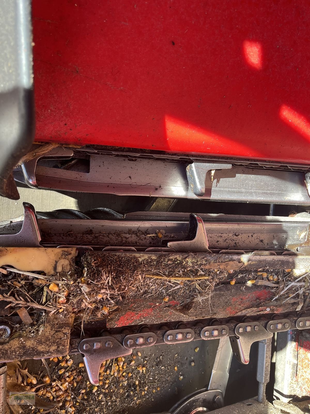 Schneidwerk des Typs Capello Quasar R6 - gebrauchter Maispflücker, Gebrauchtmaschine in Kematen (Bild 8)