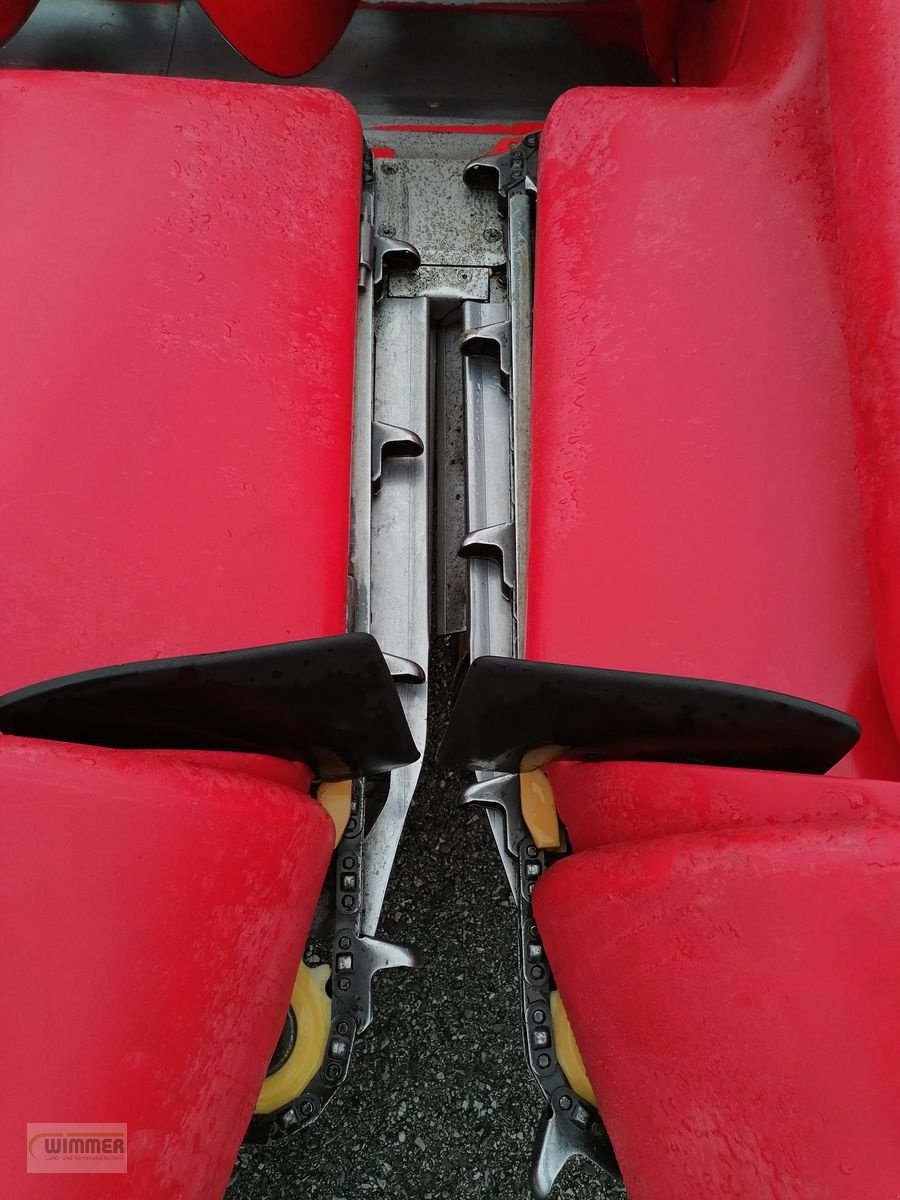 Schneidwerk Türe ait Capello Quasar R6 - gebrauchter Maispflücker, Gebrauchtmaschine içinde Kematen (resim 19)