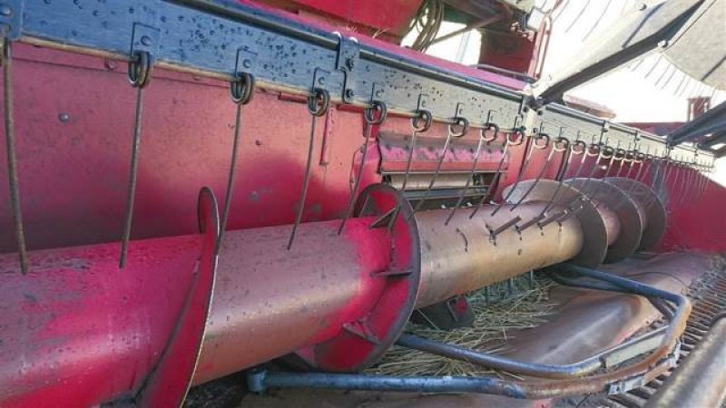 Schneidwerk typu Case IH 13", Gebrauchtmaschine v Hemmet (Obrázek 5)
