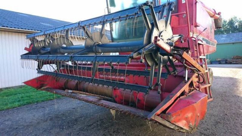 Schneidwerk typu Case IH 13", Gebrauchtmaschine v Hemmet (Obrázek 1)