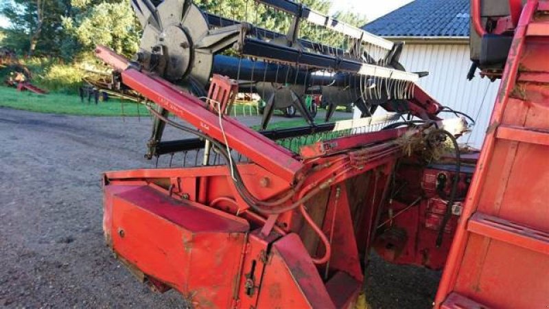 Schneidwerk typu Case IH 13", Gebrauchtmaschine v Hemmet (Obrázek 3)