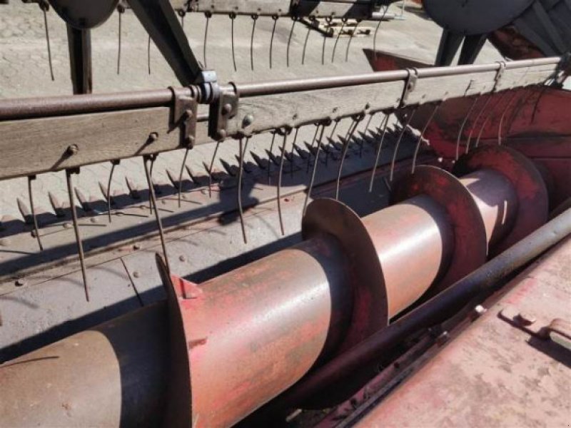 Schneidwerk des Typs Case IH 17,5", Gebrauchtmaschine in Hemmet (Bild 7)