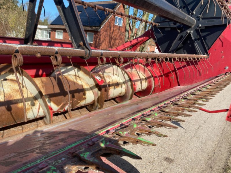 Schneidwerk typu Case IH 22", Gebrauchtmaschine v Hemmet (Obrázek 10)