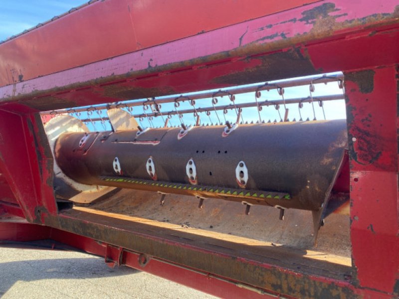Schneidwerk typu Case IH 22", Gebrauchtmaschine v Hemmet (Obrázek 18)