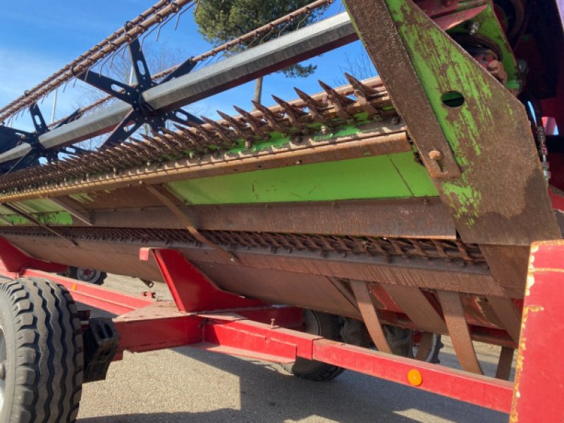 Schneidwerk typu Case IH 22", Gebrauchtmaschine v Hemmet (Obrázek 11)