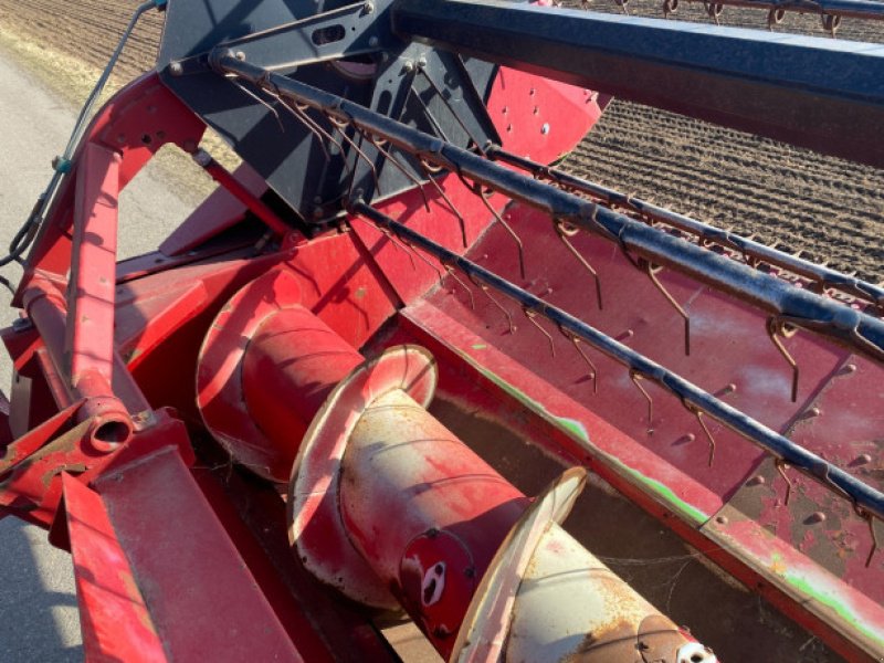 Schneidwerk typu Case IH 22", Gebrauchtmaschine v Hemmet (Obrázek 20)