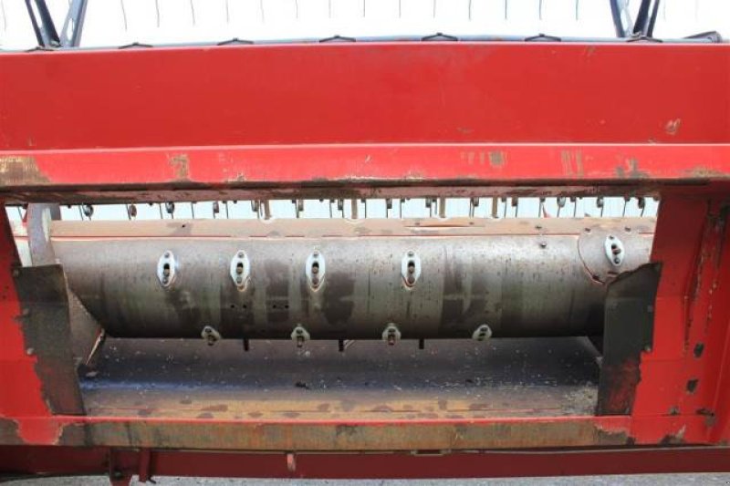 Schneidwerk typu Case IH 24", Gebrauchtmaschine v Hemmet (Obrázek 4)