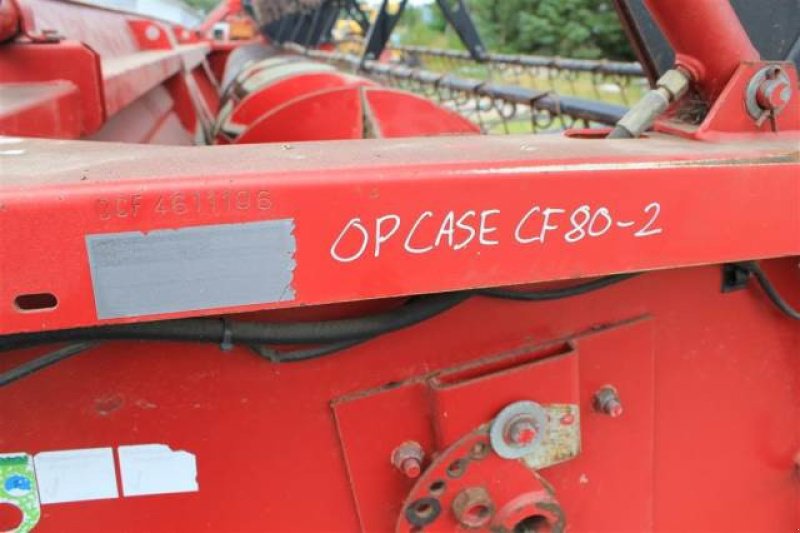 Schneidwerk typu Case IH 24", Gebrauchtmaschine v Hemmet (Obrázek 2)