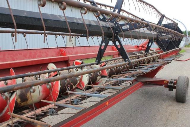 Schneidwerk typu Case IH 24", Gebrauchtmaschine v Hemmet (Obrázek 7)