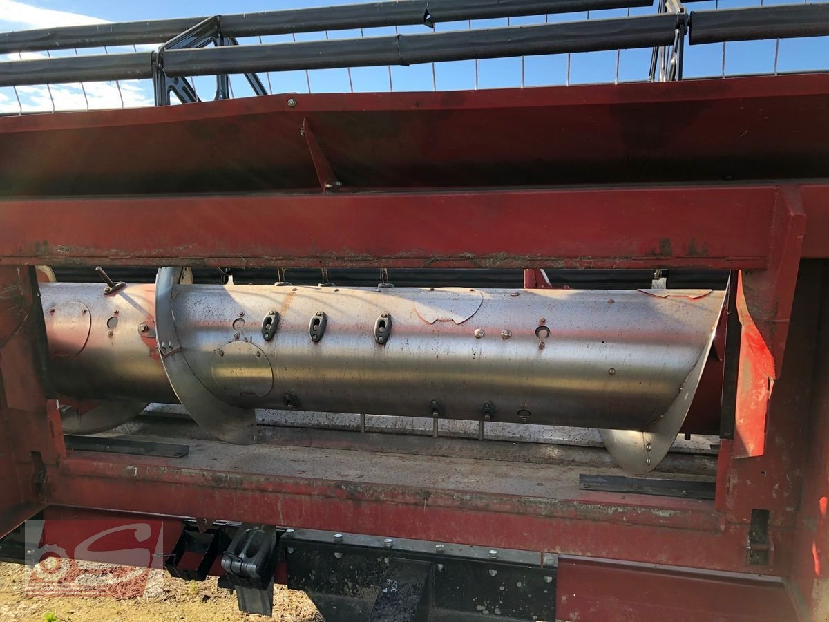 Schneidwerk of the type Case IH 3050 - 5,4m, Gebrauchtmaschine in Offenhausen (Picture 3)