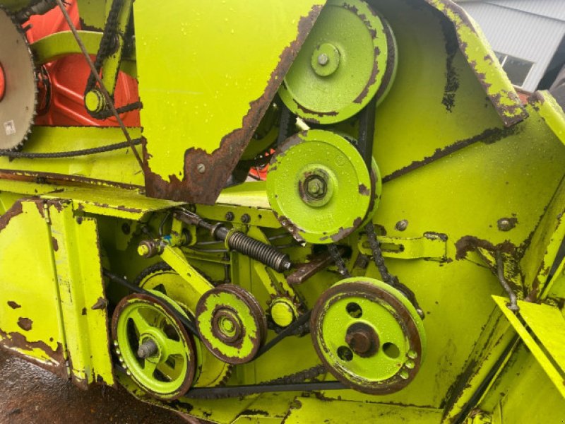 Schneidwerk typu CLAAS 13", Gebrauchtmaschine v Hemmet (Obrázek 19)