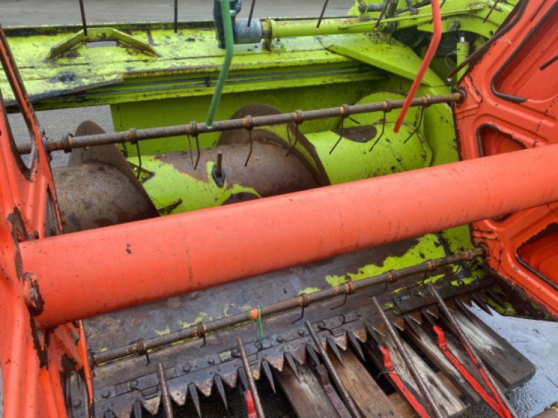 Schneidwerk typu CLAAS 13", Gebrauchtmaschine v Hemmet (Obrázek 13)
