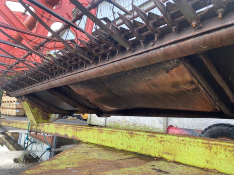 Schneidwerk des Typs CLAAS 15”, Gebrauchtmaschine in Hemmet (Bild 19)