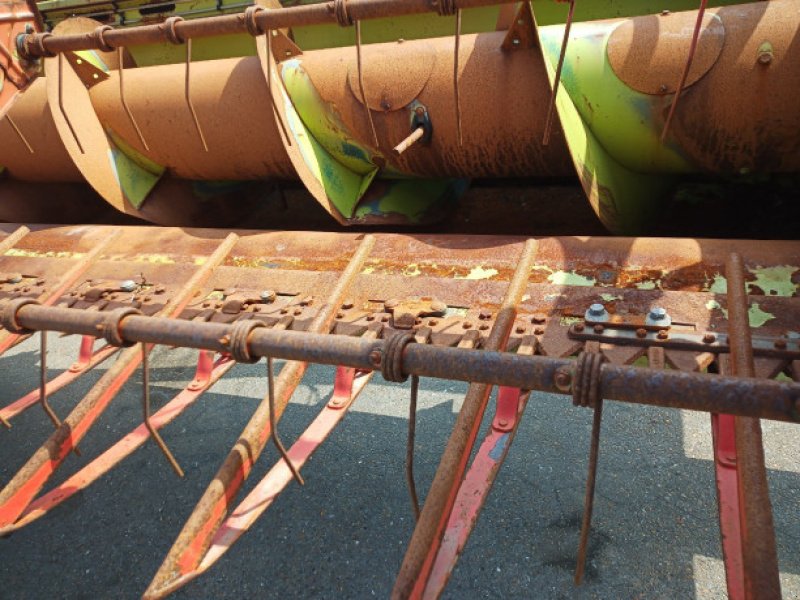 Schneidwerk des Typs CLAAS 22", Gebrauchtmaschine in Hemmet (Bild 18)