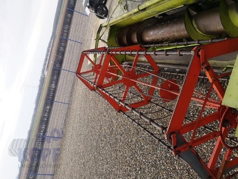 Schneidwerk des Typs CLAAS 3,6 m passend an Mercator, Gebrauchtmaschine in Schutterzell (Bild 5)