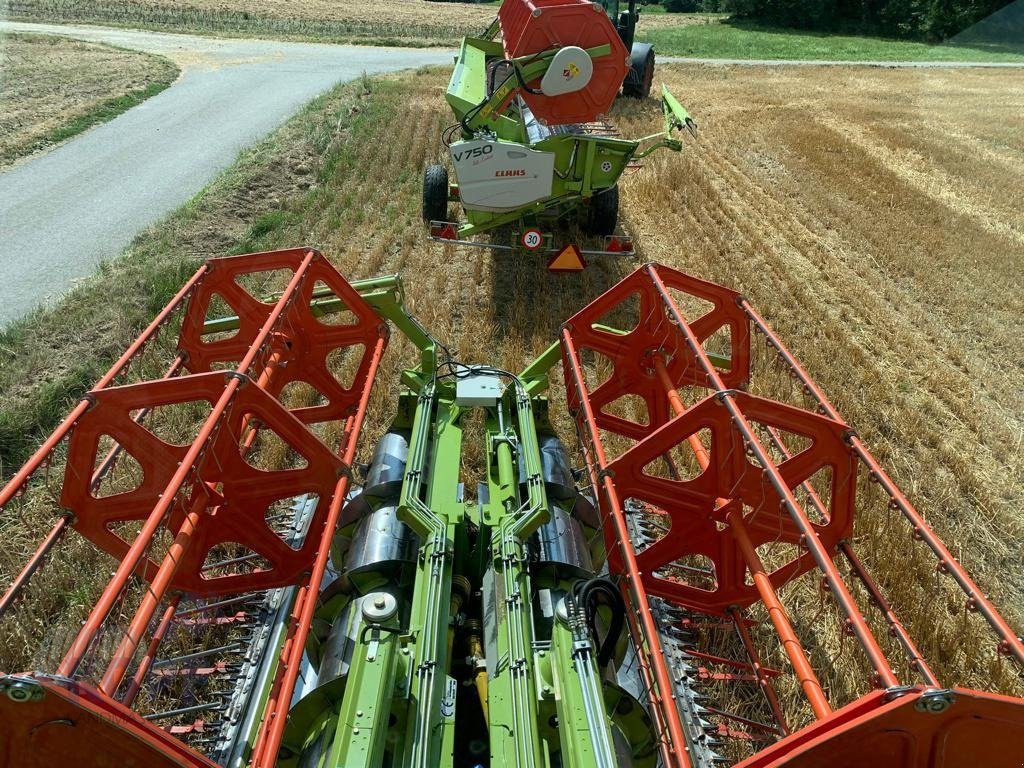 Schneidwerk of the type CLAAS C 540, klappbar, Gebrauchtmaschine in Schutterzell (Picture 7)