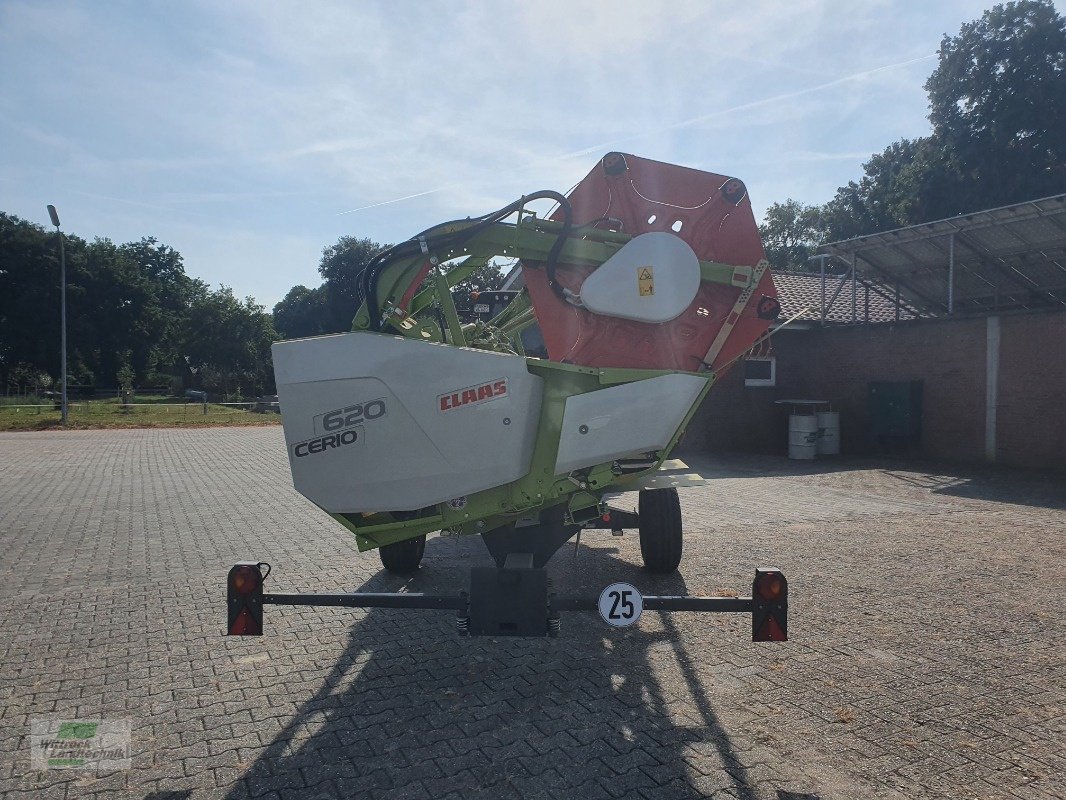 Schneidwerk des Typs CLAAS Cerio 620, Neumaschine in Rhede / Brual (Bild 4)