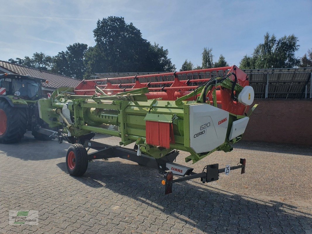 Schneidwerk типа CLAAS Cerio 620, Neumaschine в Rhede / Brual (Фотография 5)