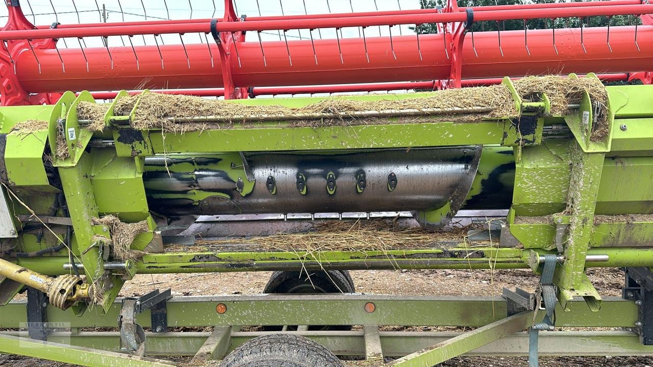Schneidwerk του τύπου CLAAS Cerio 770, Gebrauchtmaschine σε Pragsdorf (Φωτογραφία 2)