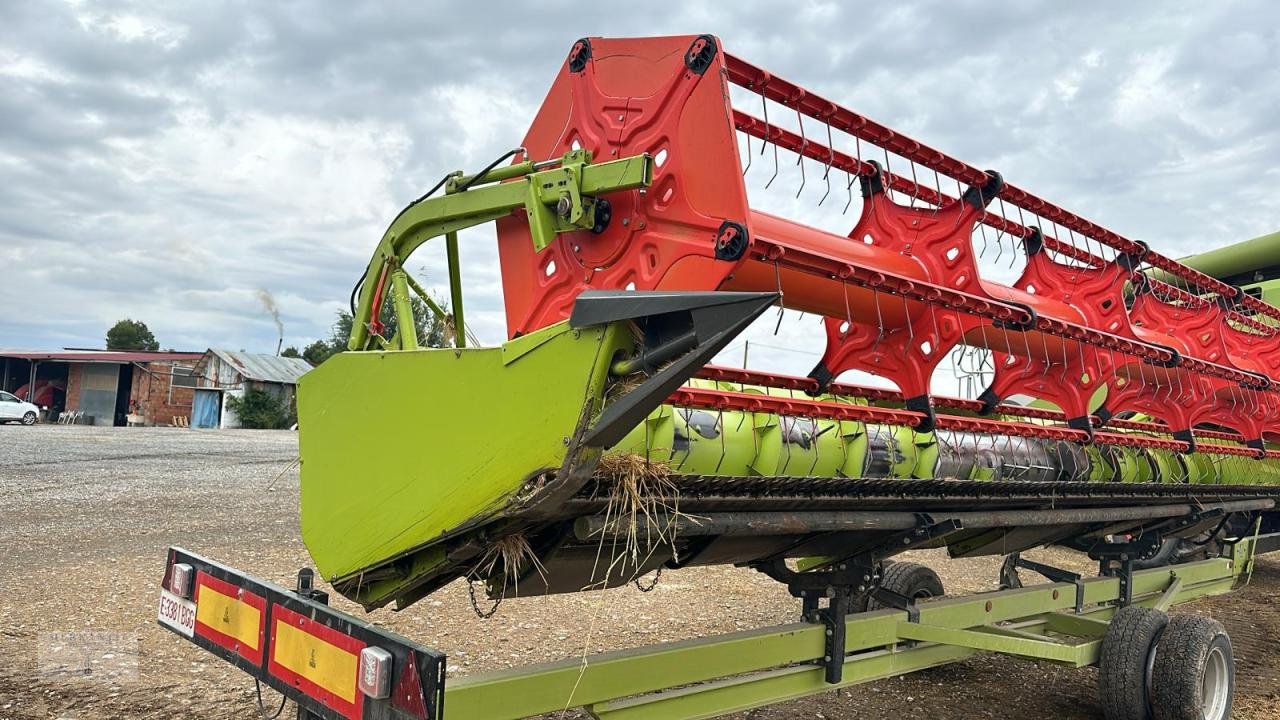 Schneidwerk του τύπου CLAAS Cerio 770, Gebrauchtmaschine σε Pragsdorf (Φωτογραφία 4)
