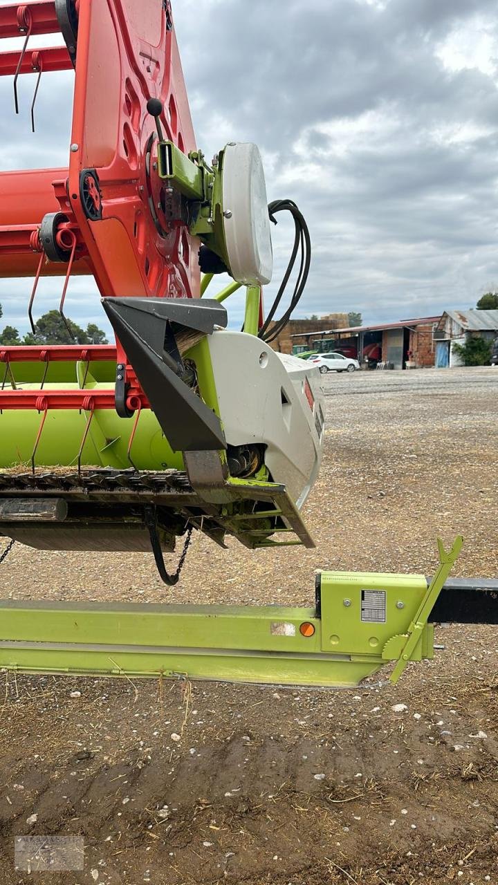 Schneidwerk του τύπου CLAAS Cerio 770, Gebrauchtmaschine σε Pragsdorf (Φωτογραφία 5)