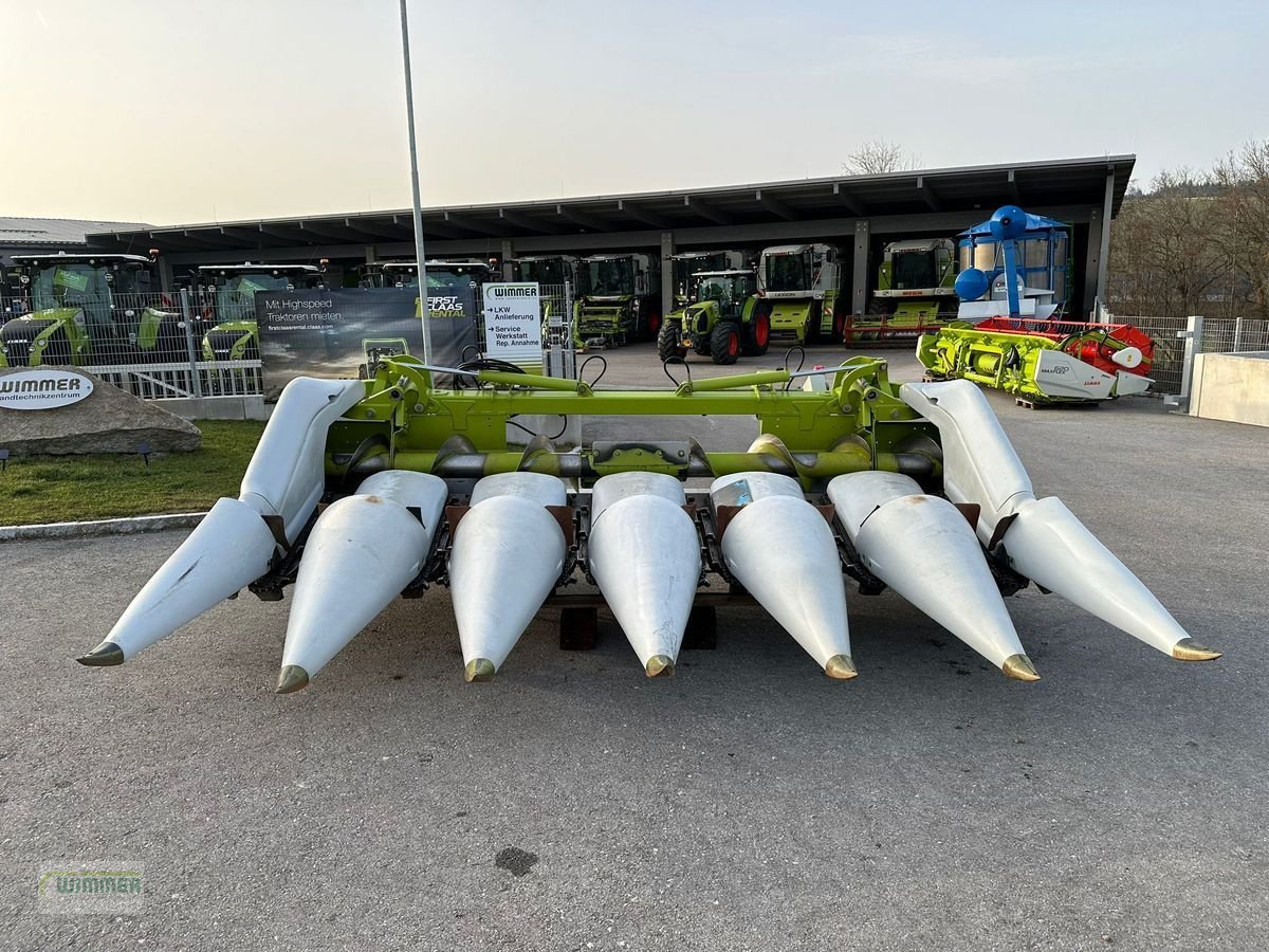 Schneidwerk des Typs CLAAS Conspeed 6-70 FC - gebrauchter Maispflücker, Gebrauchtmaschine in Kematen (Bild 3)