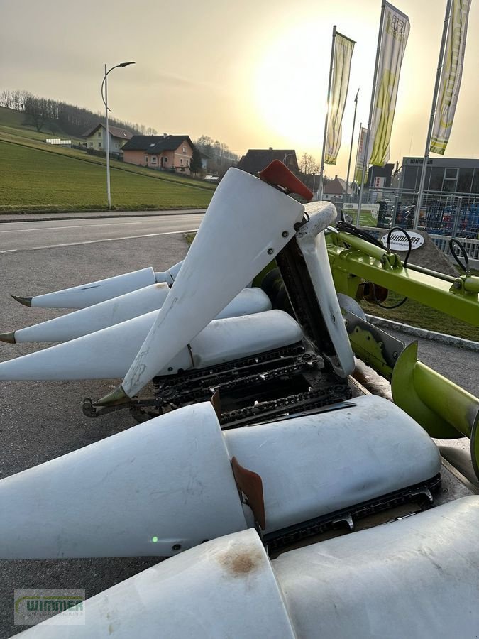 Schneidwerk of the type CLAAS Conspeed 6-70 FC - gebrauchter Maispflücker, Gebrauchtmaschine in Kematen (Picture 14)