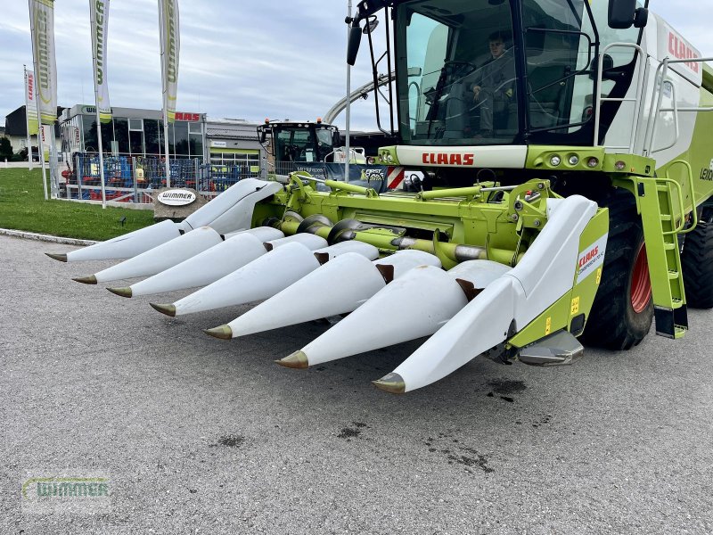 Schneidwerk типа CLAAS Conspeed 6-70 FC - gebrauchter Maispflücker, Gebrauchtmaschine в Kematen (Фотография 1)