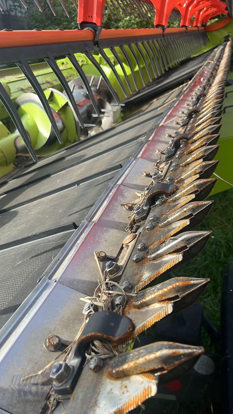 Schneidwerk van het type CLAAS Convio Flex 9,30m Bandschneidwerk, Gebrauchtmaschine in Schutterzell (Foto 3)