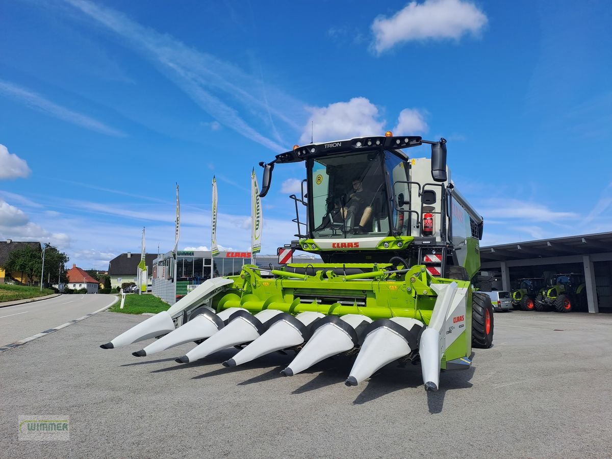 Schneidwerk a típus CLAAS CORIO 670 FC, Neumaschine ekkor: Kematen (Kép 1)