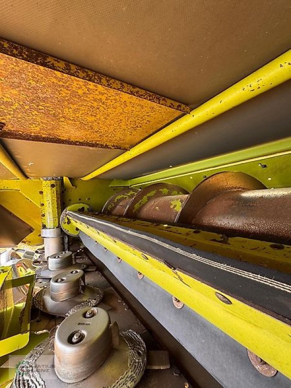 Schneidwerk του τύπου CLAAS DIRECT DISC 610 COMFORT, Gebrauchtmaschine σε Rittersdorf (Φωτογραφία 4)