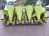 Schneidwerk of the type CLAAS Maispflücker 5-70SL, Gebrauchtmaschine in Burgkirchen (Picture 11)