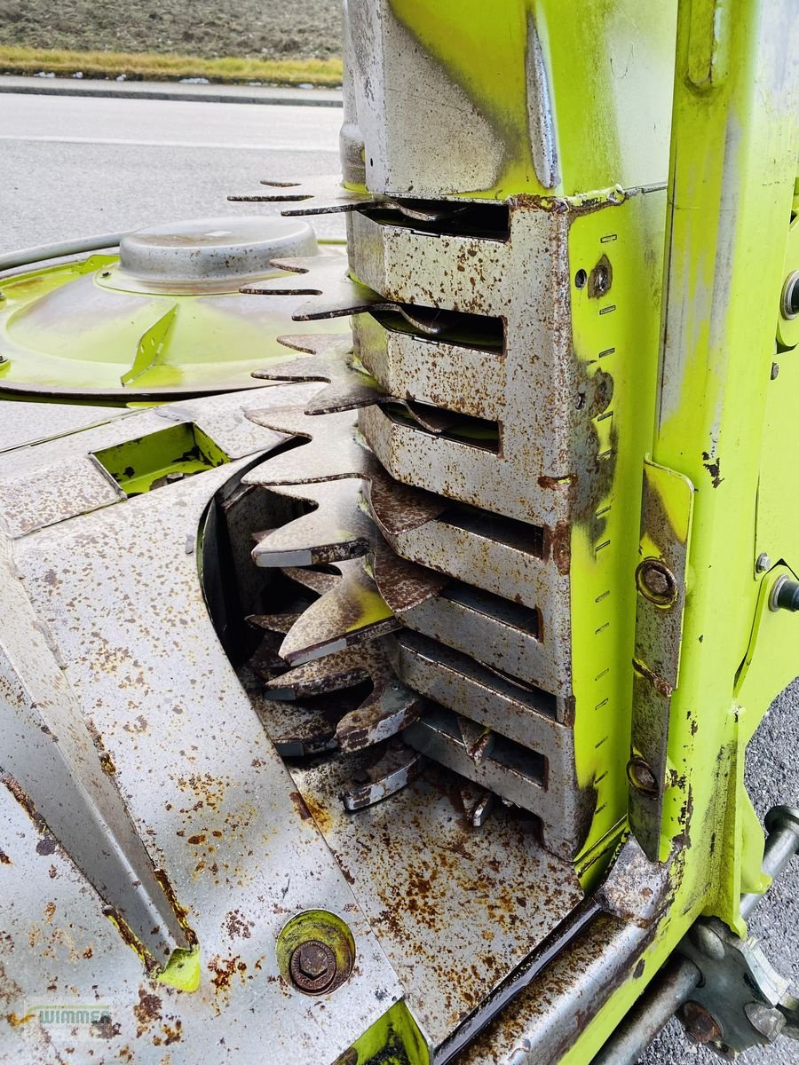 Schneidwerk typu CLAAS Orbis 600 - gebrauchtes Maisgebiss / Maisvorsatz, Gebrauchtmaschine v Kematen (Obrázek 28)